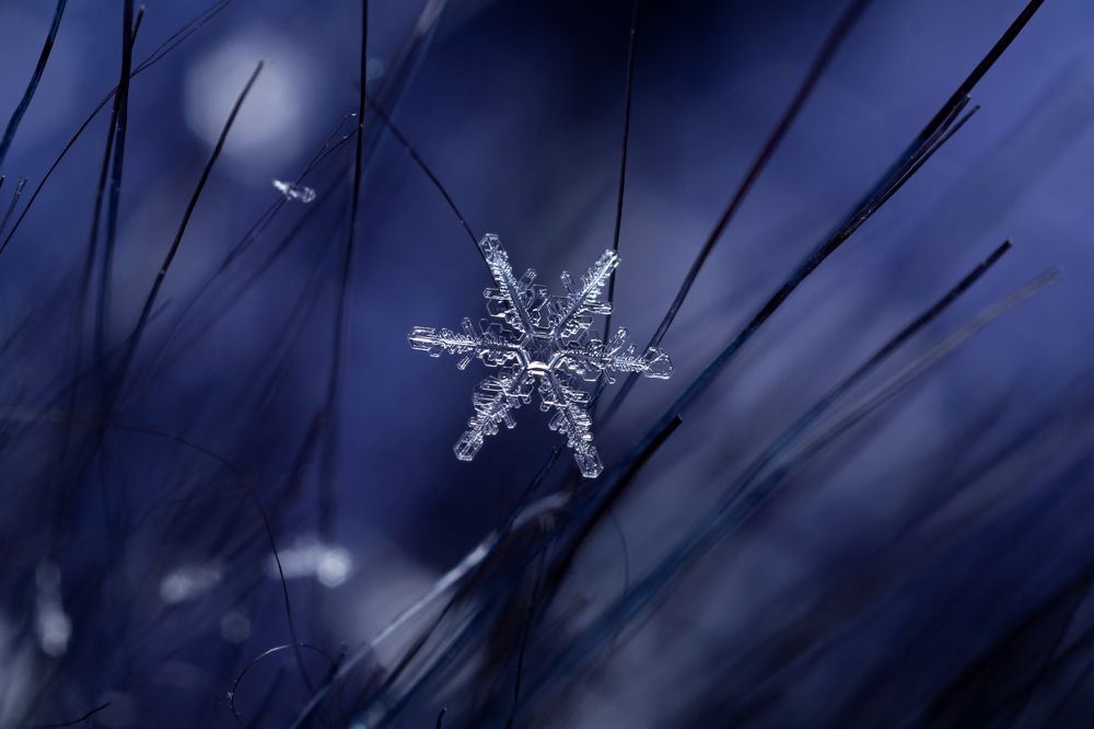 Photograph by Людмила Гудина