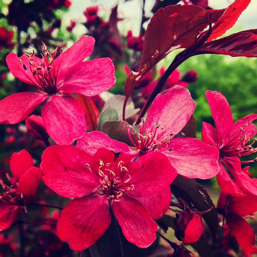 Photograph by Юлия Самсонова