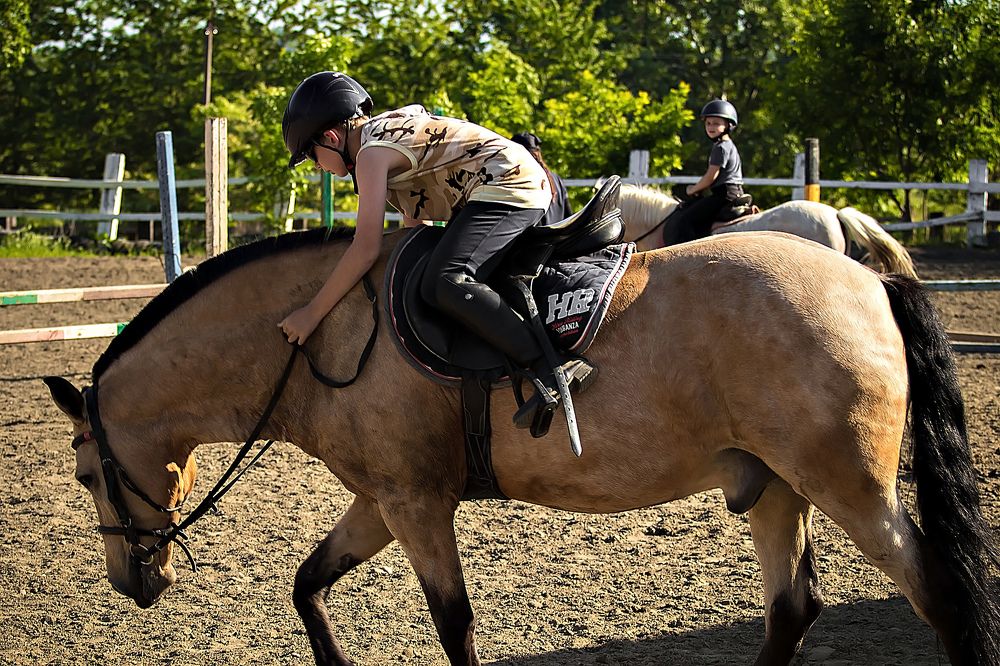 Жизнь конно-спортивного клуба