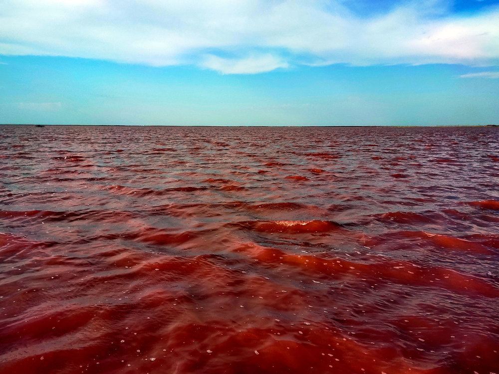 Photograph by Алексей