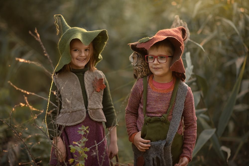 Гномики в лесу