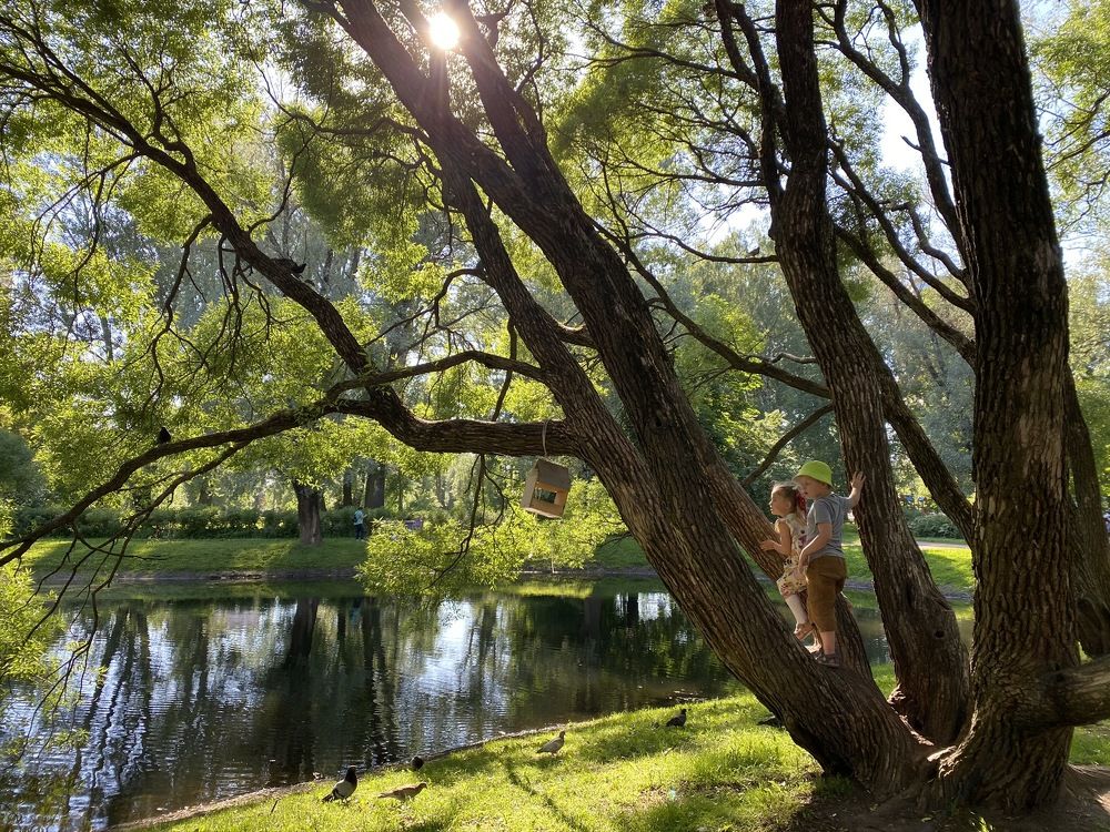 Photograph by Екатерина Сысоева