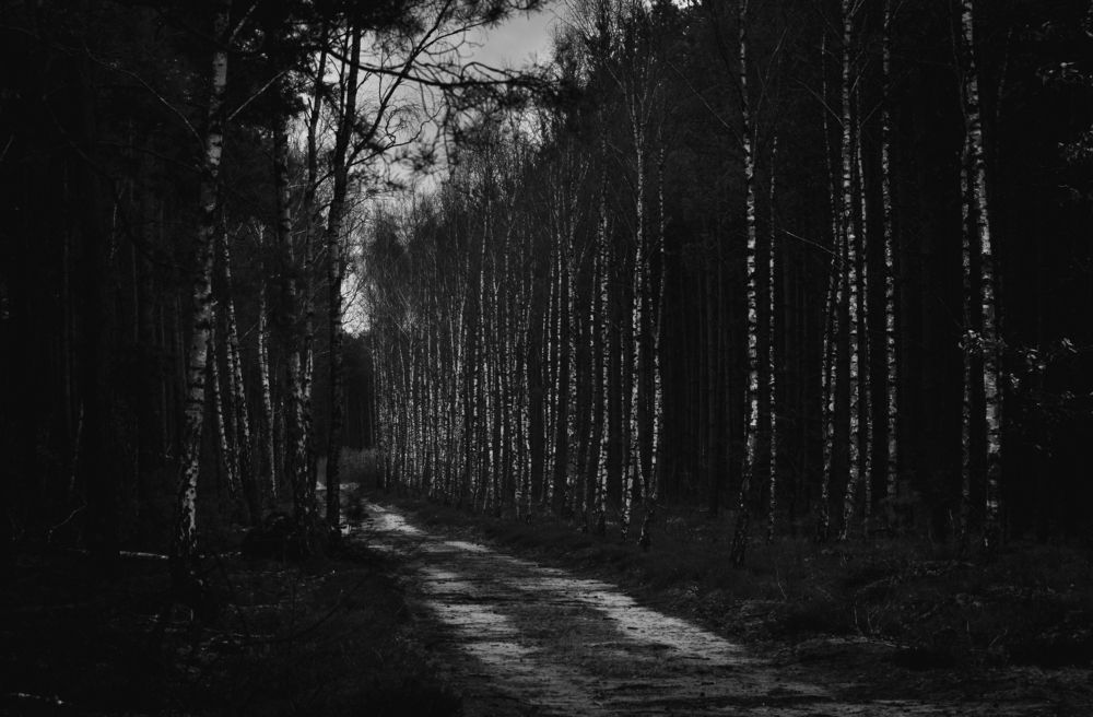 Photograph by Дмитрий Федорченко