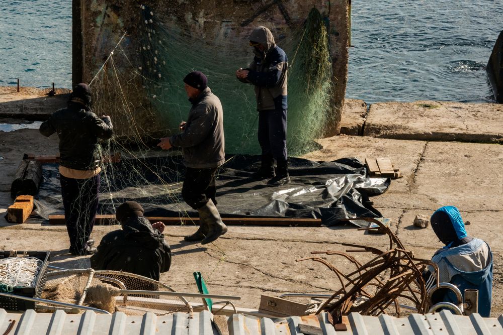 Photograph by Михаил Меринов