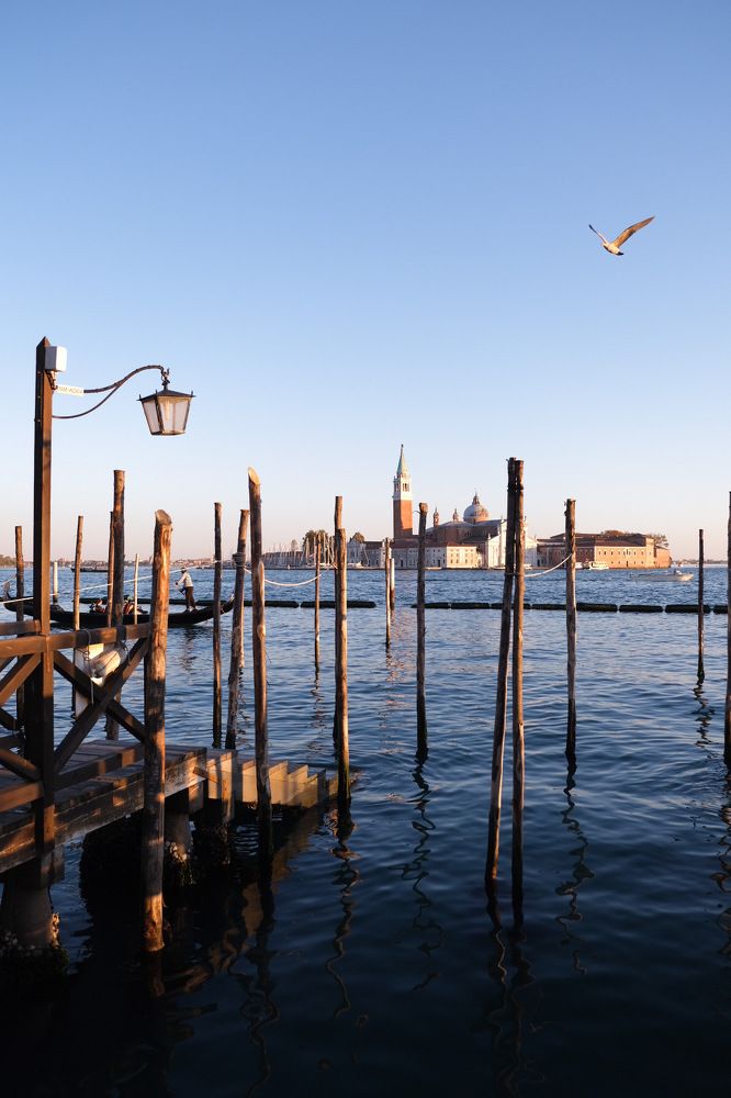 Photograph by Jasminka Đaković