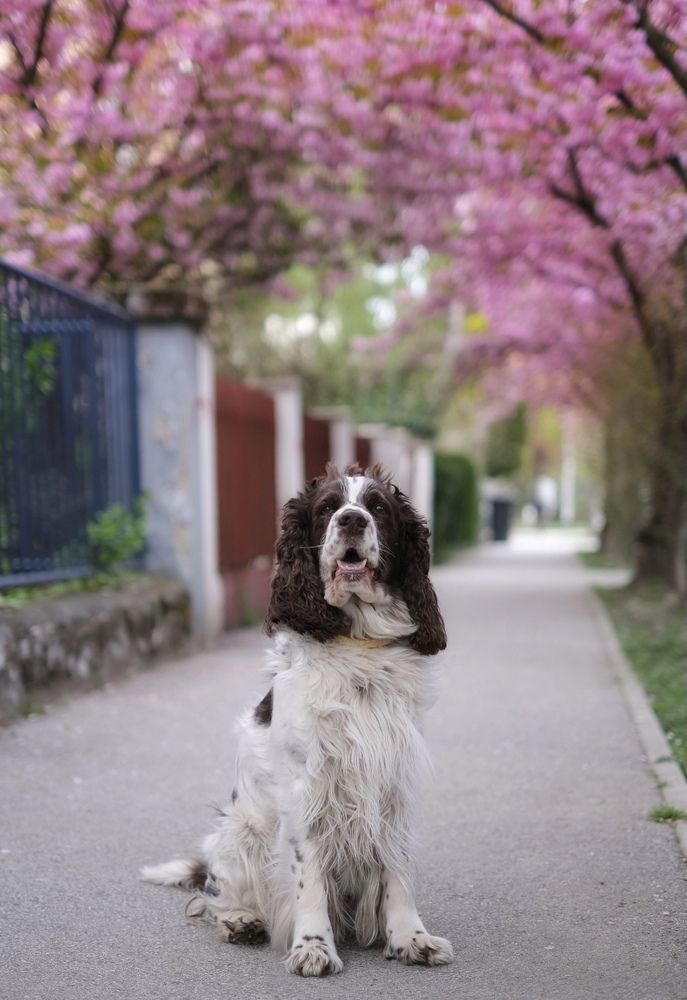 Photograph by Jasminka Đaković