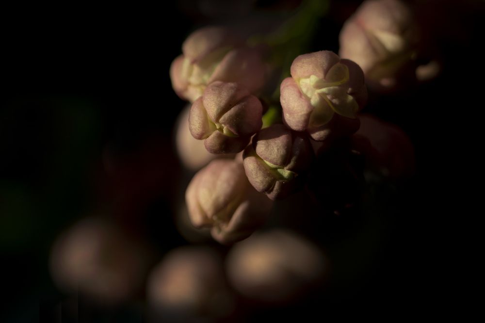 Photograph by Юлия Куликова