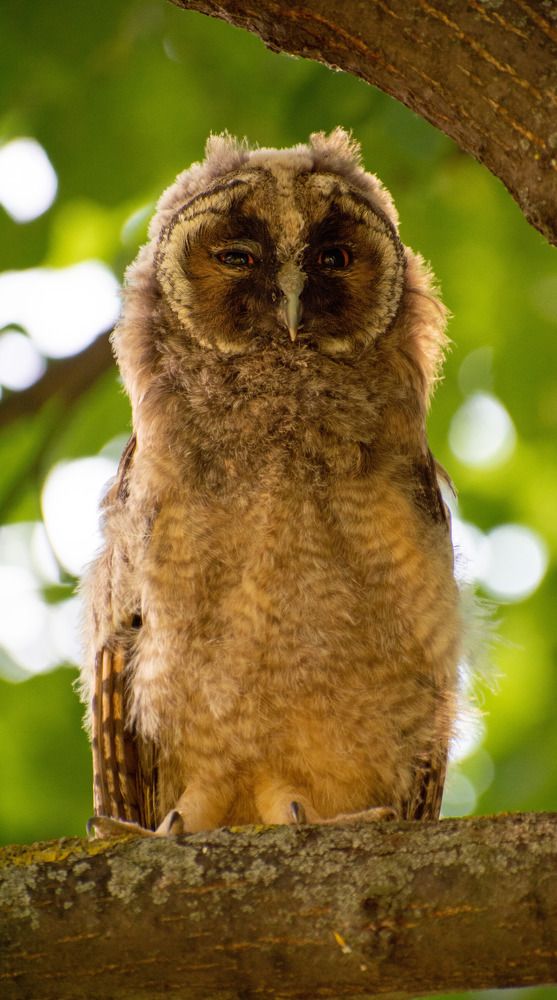 Photograph by Артём Синиятулин