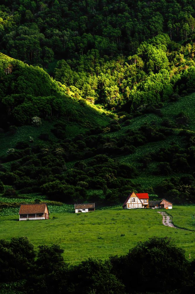 Photograph by Ислам Мирсаитов