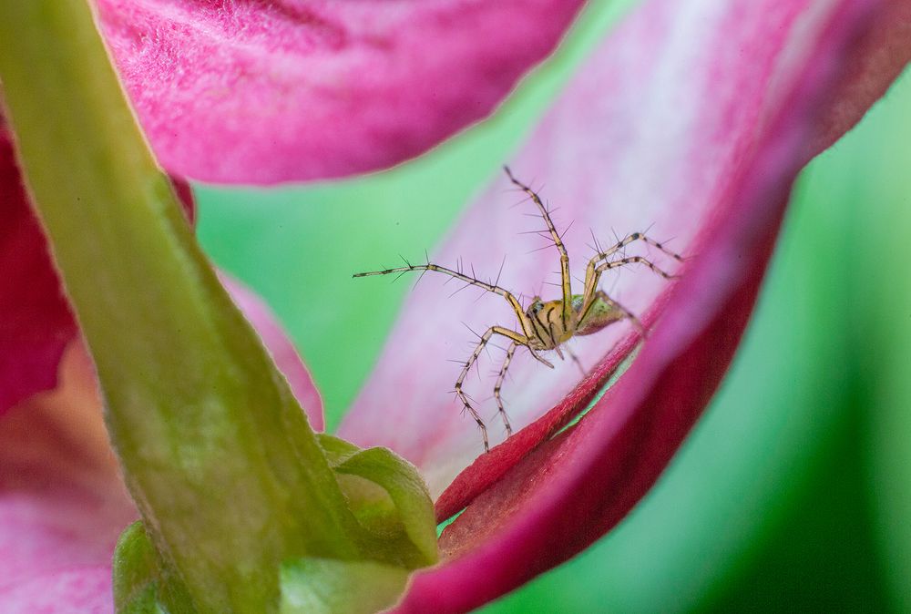 Фотография автора Sasindu Pramuditha