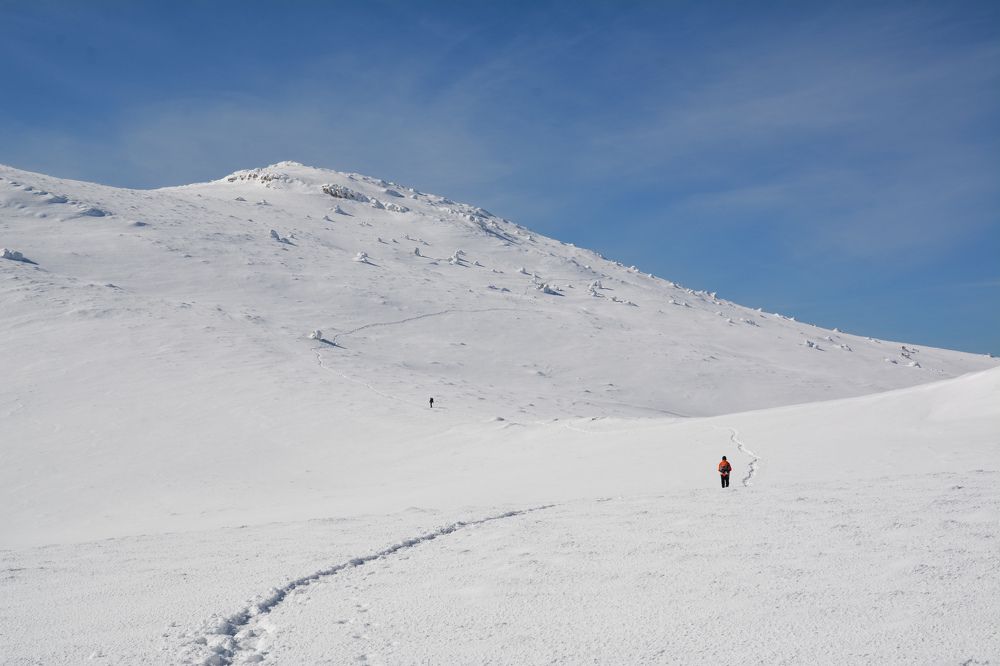 Photograph by Екатерина Крючкова