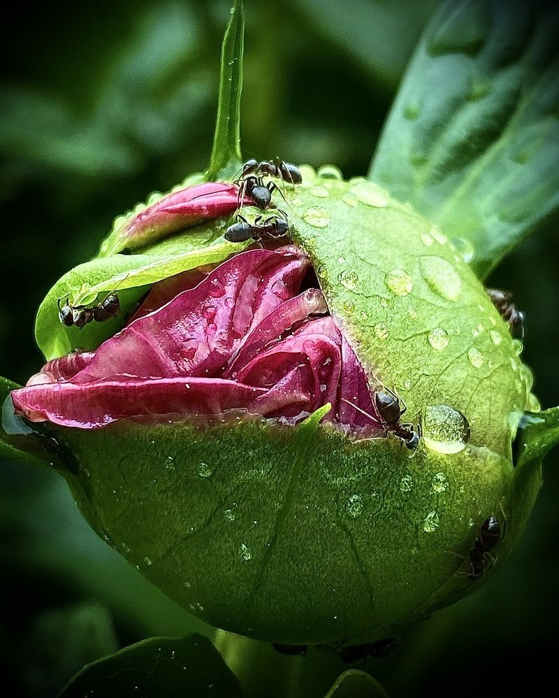 Photograph by Наталья