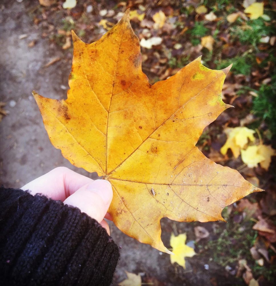 Photograph by Юлия Самсонова