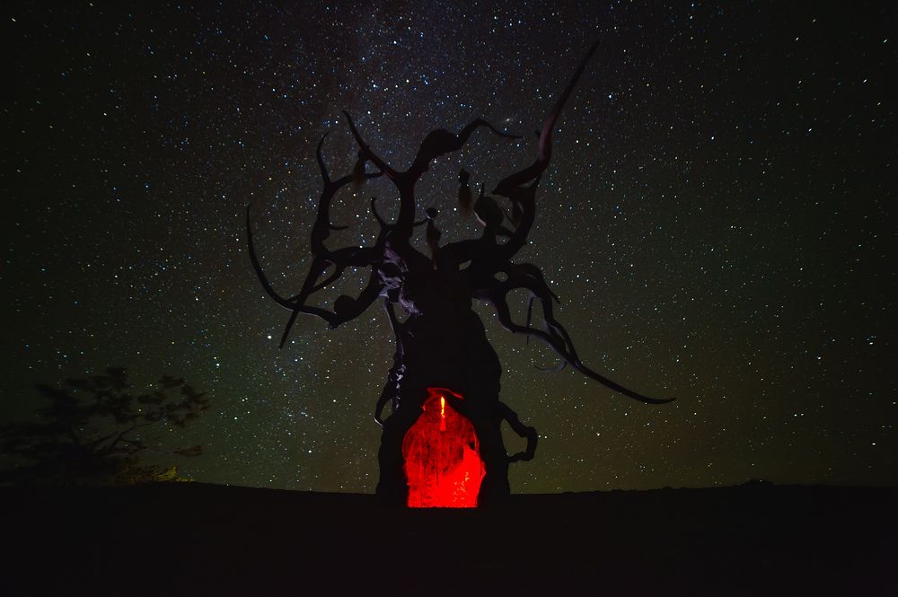 Photograph by Владимир Смирнов