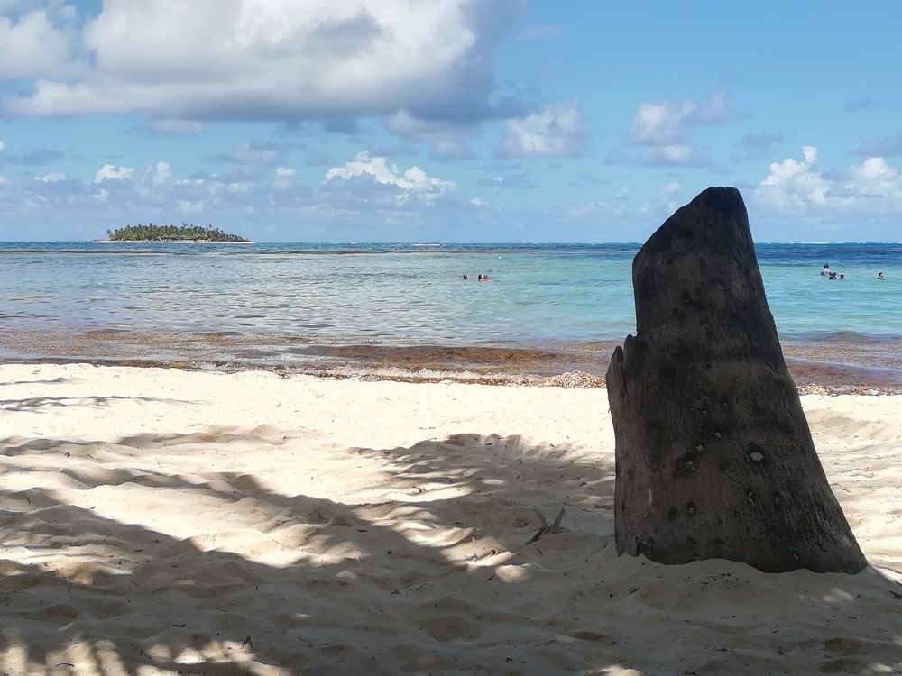 Фотография автора Carolina Mellado