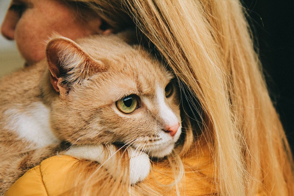 Фотография автора Ольга