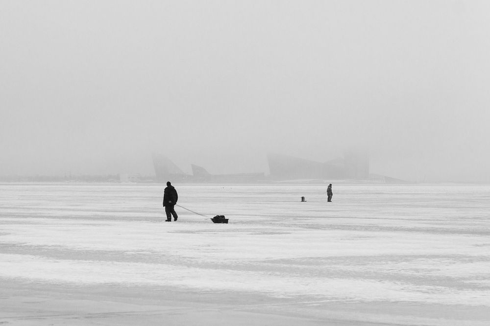 Photograph by Светлана Воробьёва