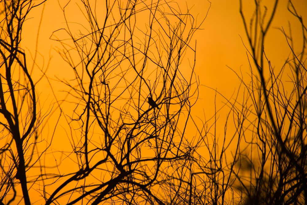 Photograph by MOHAMMED BRZAN