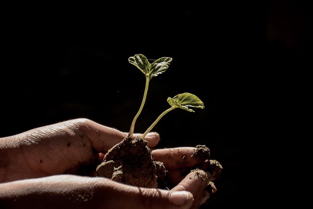 Photograph by MOHAMMED BRZAN