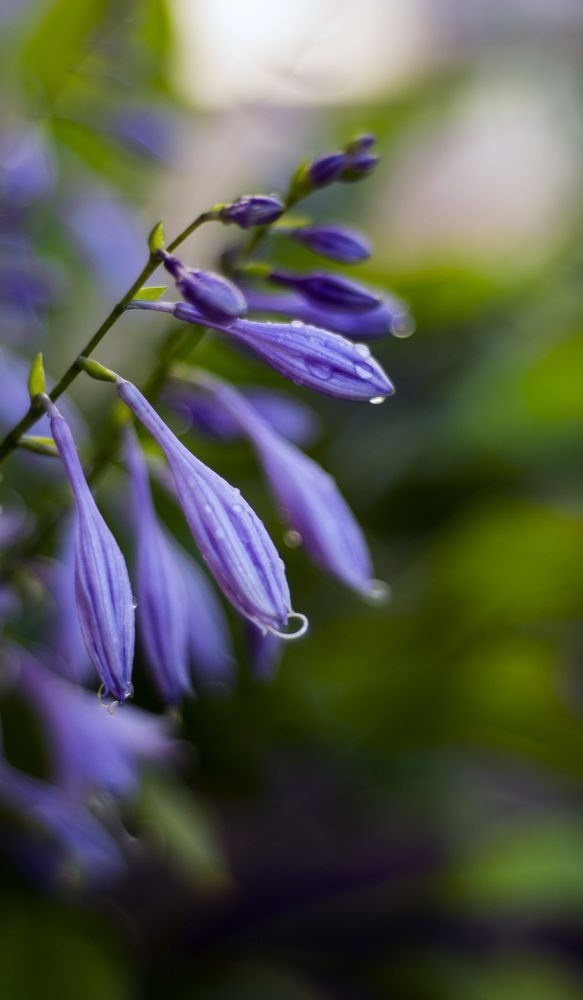 Photograph by Евгения Михайлова