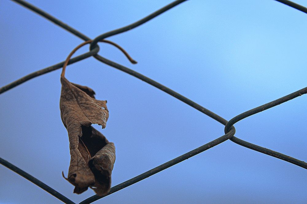 Фотография автора bahar td