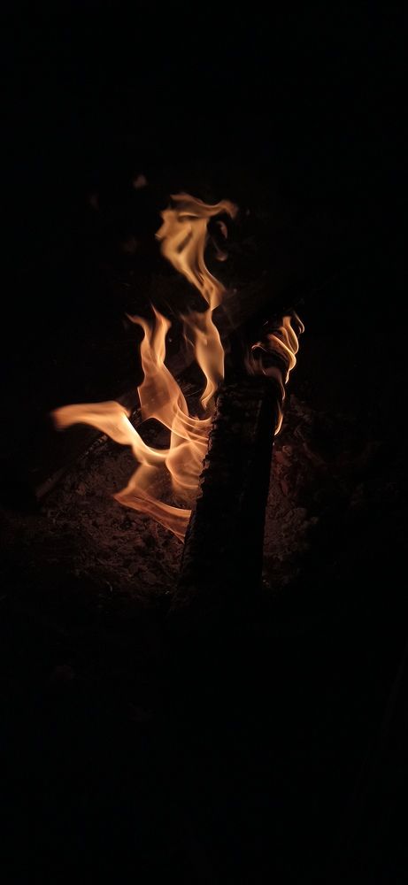 Photograph by Алия Колчина