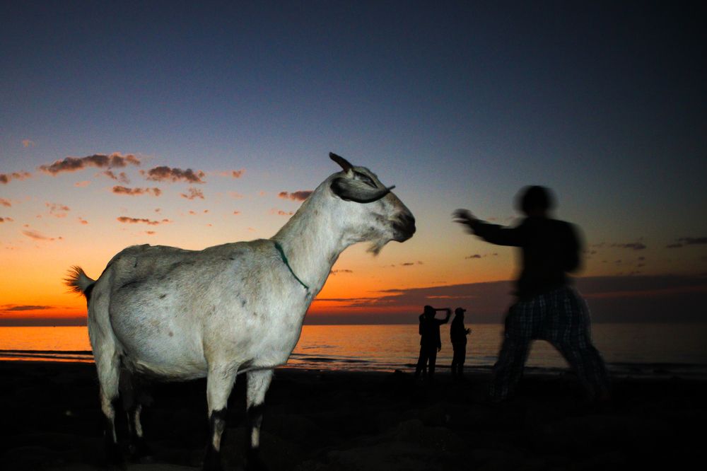 Photograph by Tahmid Mobasshir