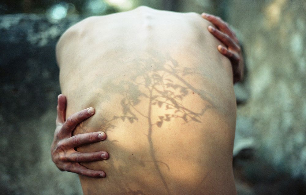 Trees Grow On Spines