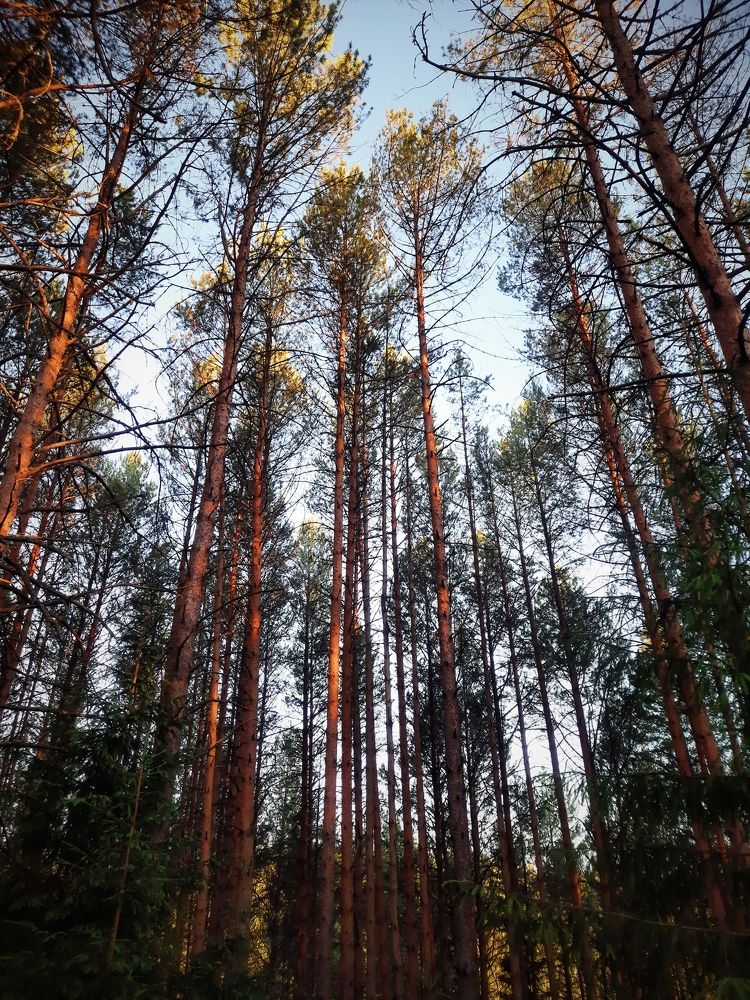 Photograph by Карина Терентьева