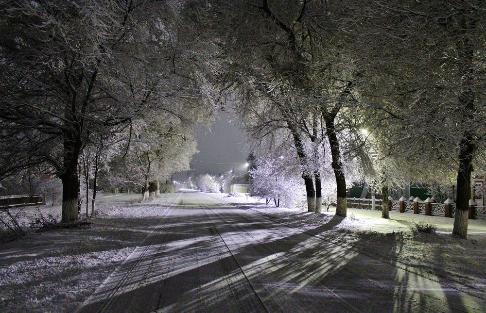 Photograph by Анна Восковых