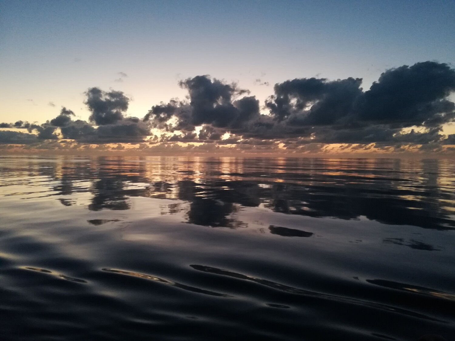 Photo #7295744