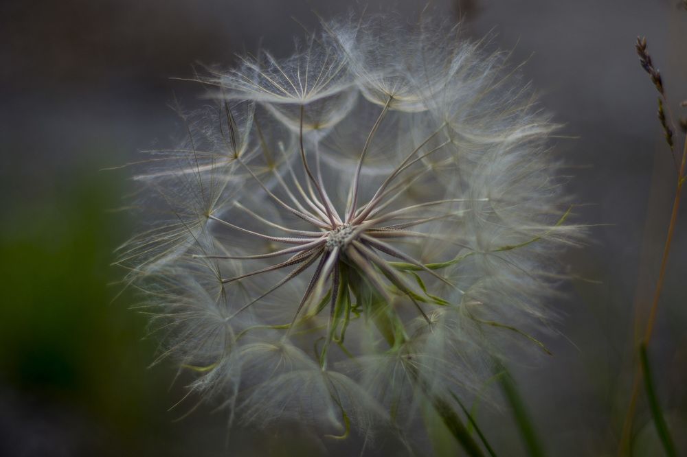 Photograph by Евгения Михайлова