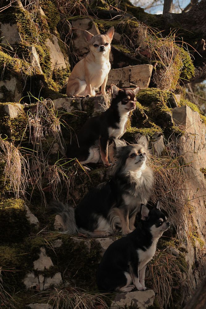 Photograph by Диана Ульянцева