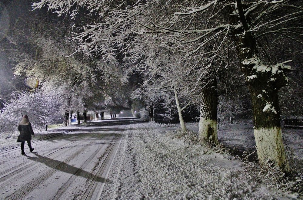 Photograph by Анна Восковых