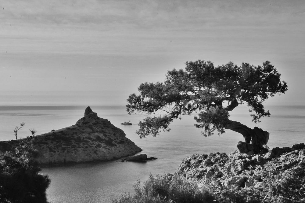 Photograph by Сергей Жигульский