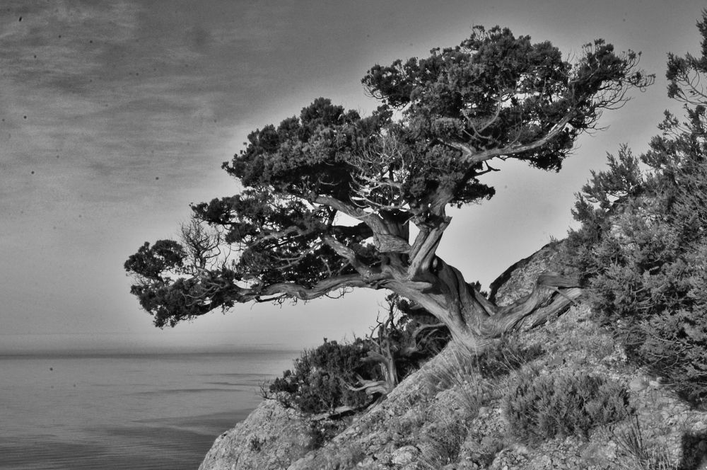 Photograph by Сергей Жигульский