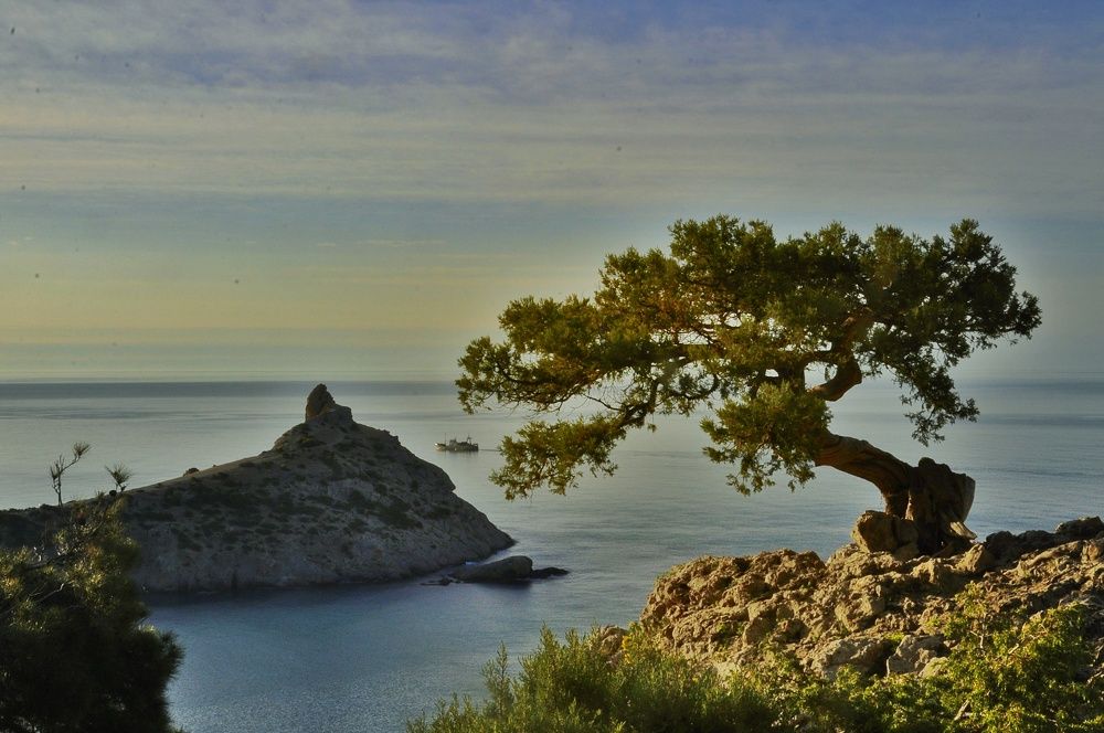 Photograph by Сергей Жигульский