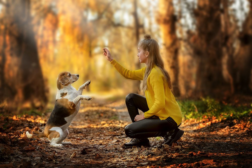 Photograph by Виталий Черняховский