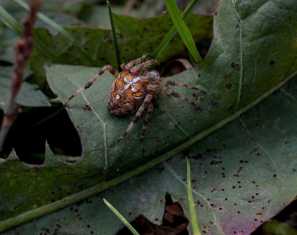 Photograph by Мария Некрасова
