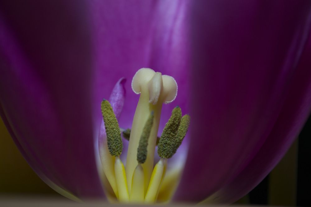 Photograph by Евгения Михайлова