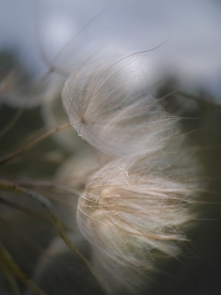 Photograph by Лариса Когтева