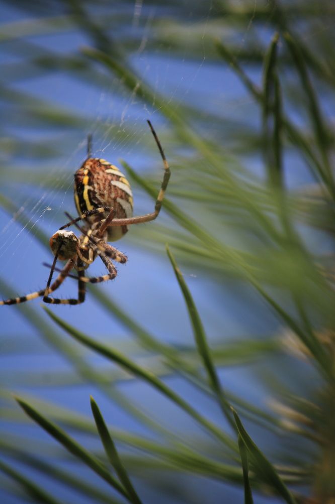 Фотография автора Никита Гутор