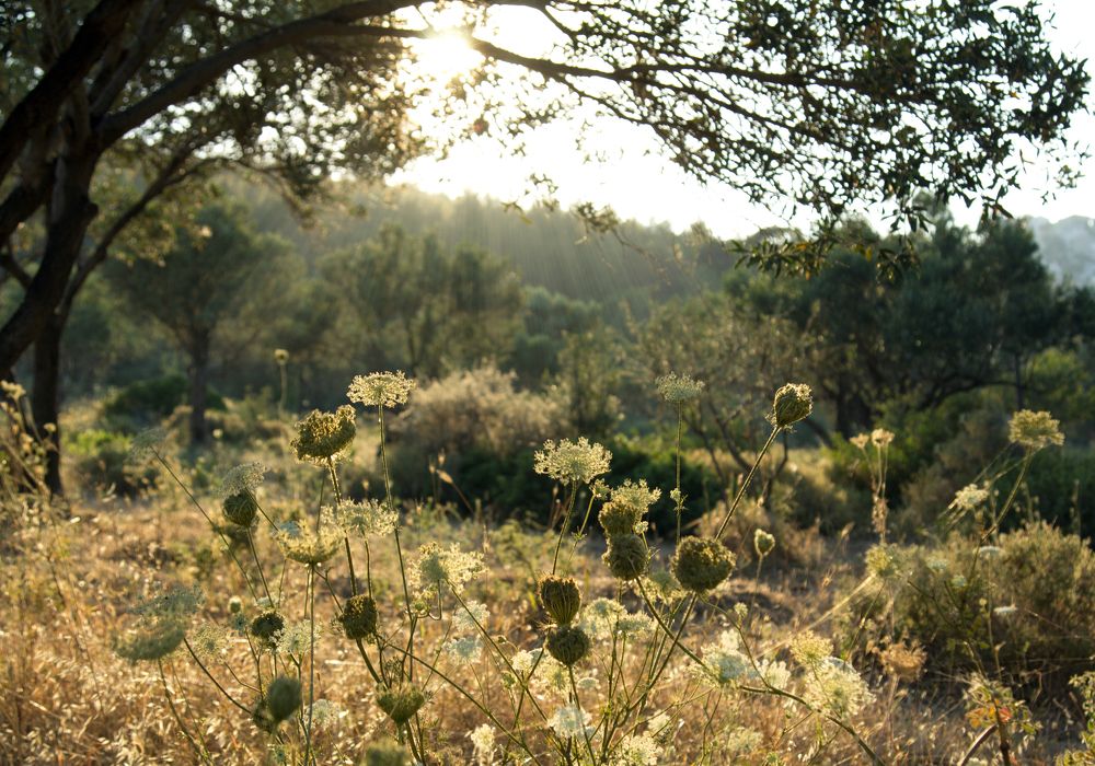 Photograph by Olga Min