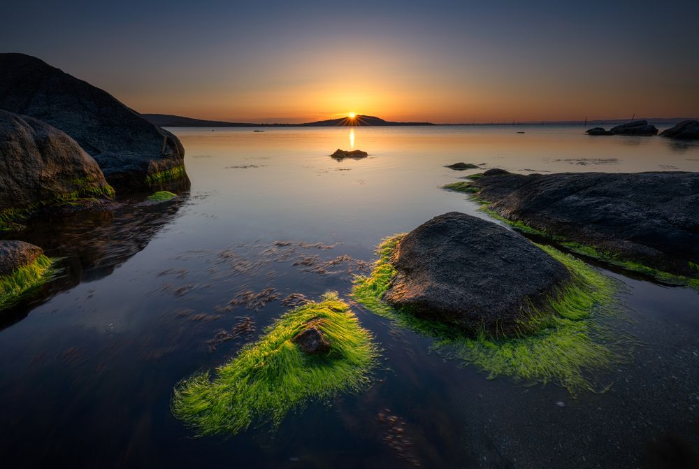 Photograph by Boyko Valchev