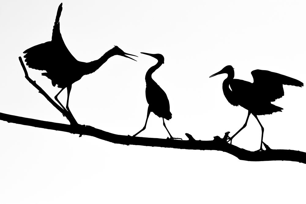 Photograph by Цветков Сергей