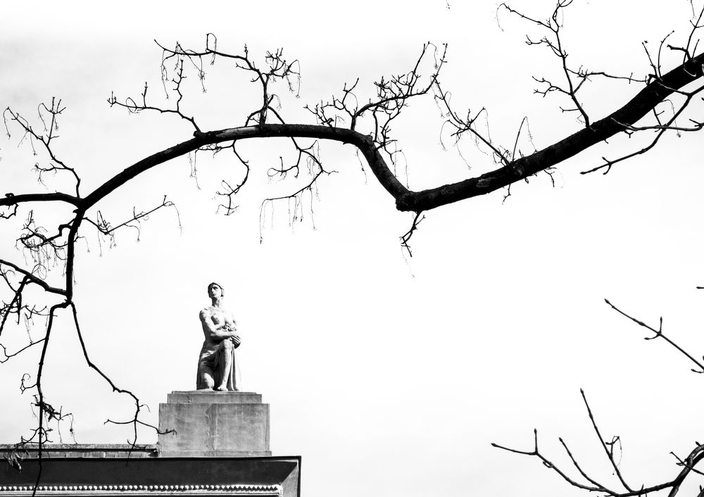 Photograph by zsolt lafferton