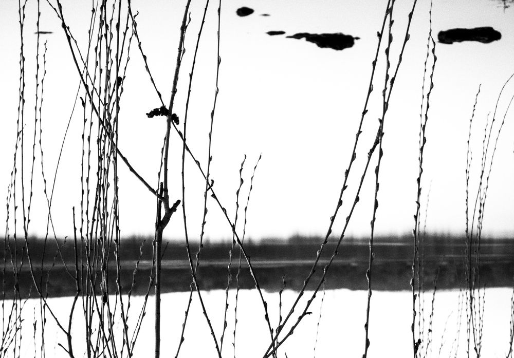 Photograph by zsolt lafferton