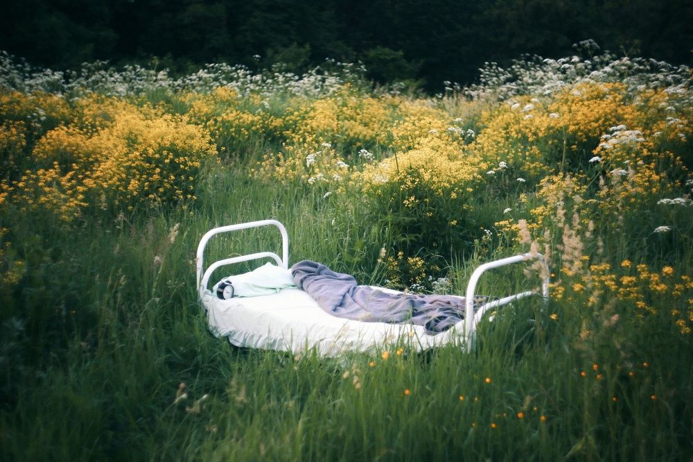 Photograph by Nikulina Sofya