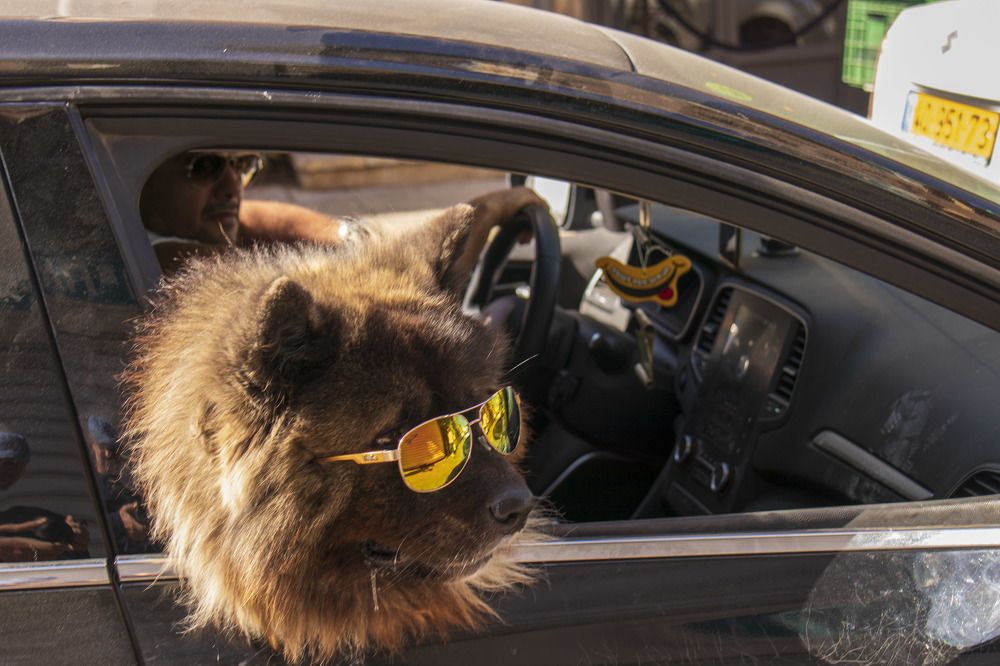 Photograph by Maxim Pshater