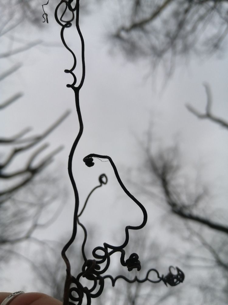 Photograph by Светлана Веселовская